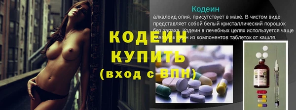 apvp Бородино