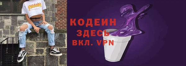apvp Бородино