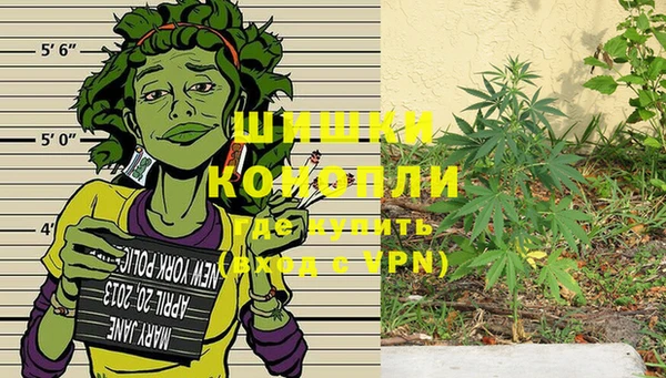 apvp Бородино