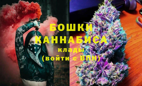 apvp Бородино