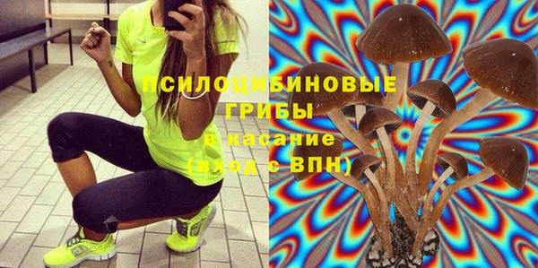 apvp Бородино