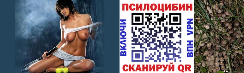 Псилоцибиновые грибы Psilocybe  Купить где  Сретенск 